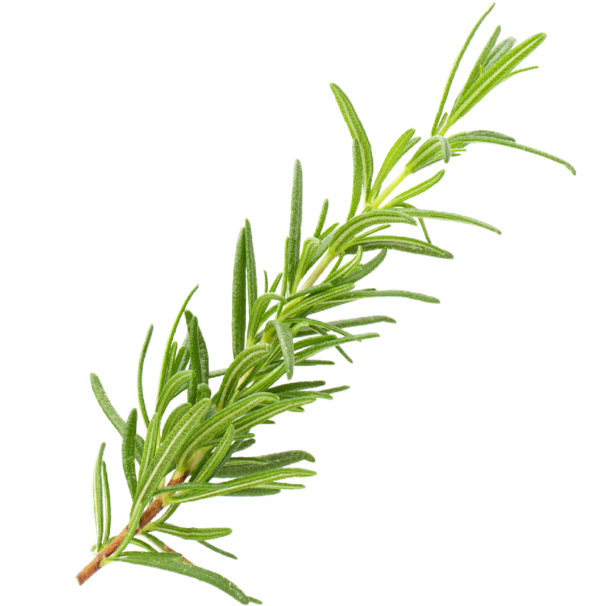 2x GREEN TEA Šampon