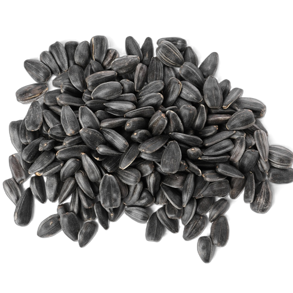 SUN & FREE Radicals protect