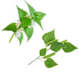 GREEN TEA Kondicionér