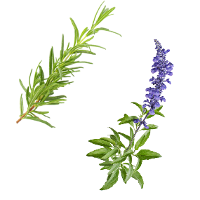 SAPPHIRE Kondicionér