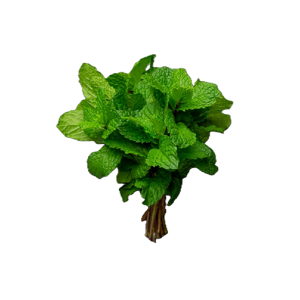 GREEN TEA APPLE LIME Tělový balzám