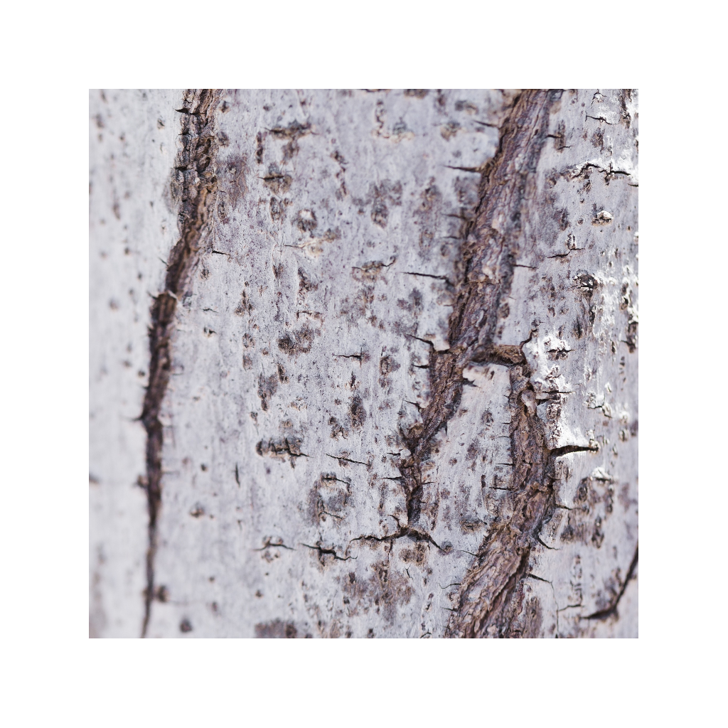 GREEN TEA APPLE LIME Tělový balzám