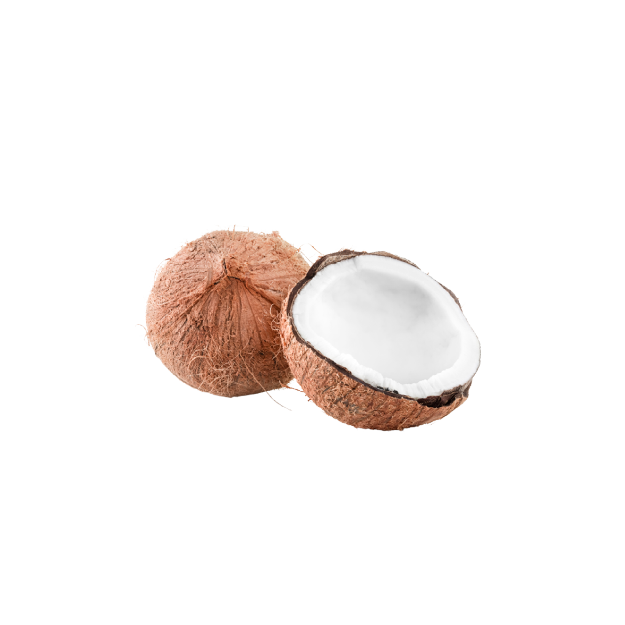 CURL Maska