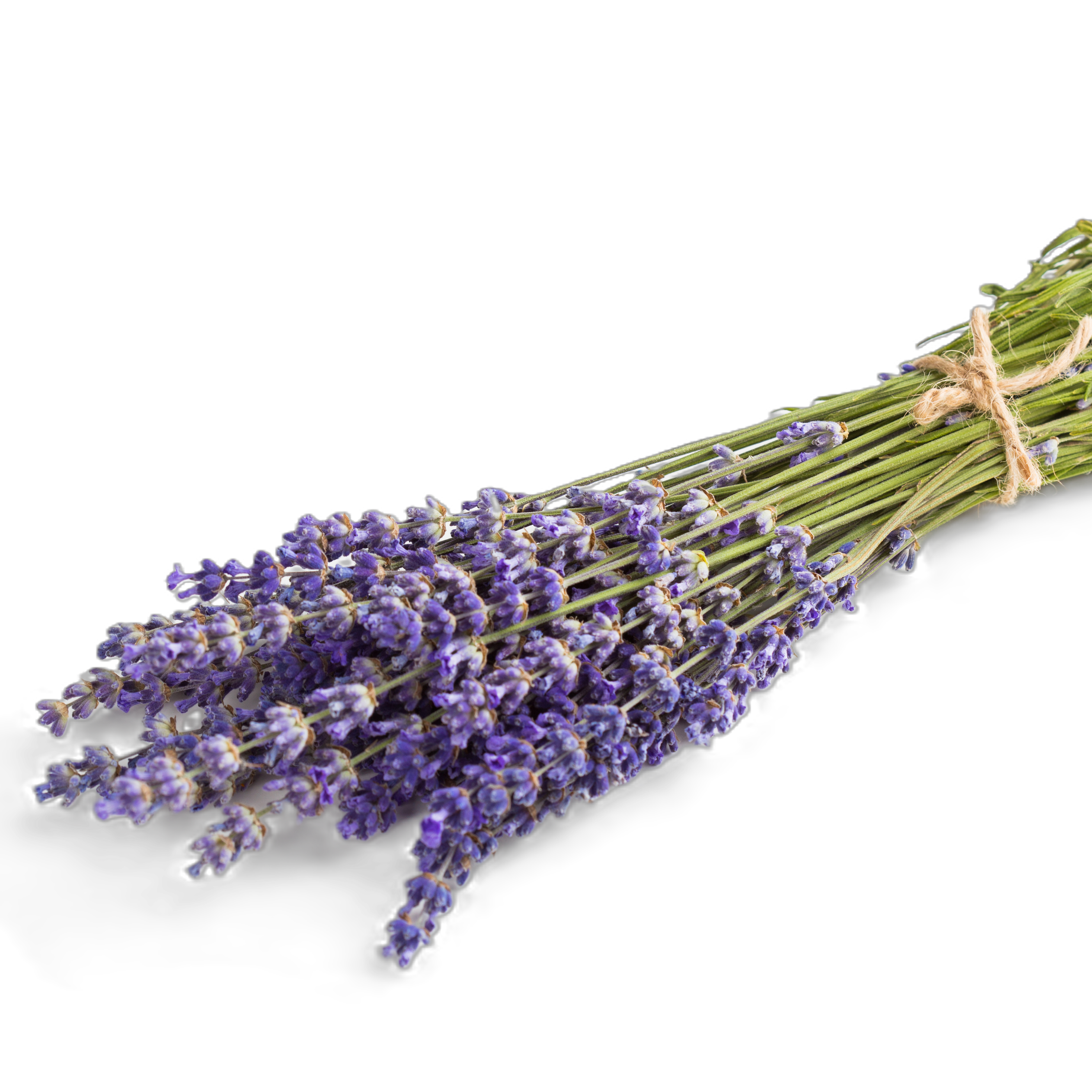 SAPPHIRE Šampon na podporu studených tónů