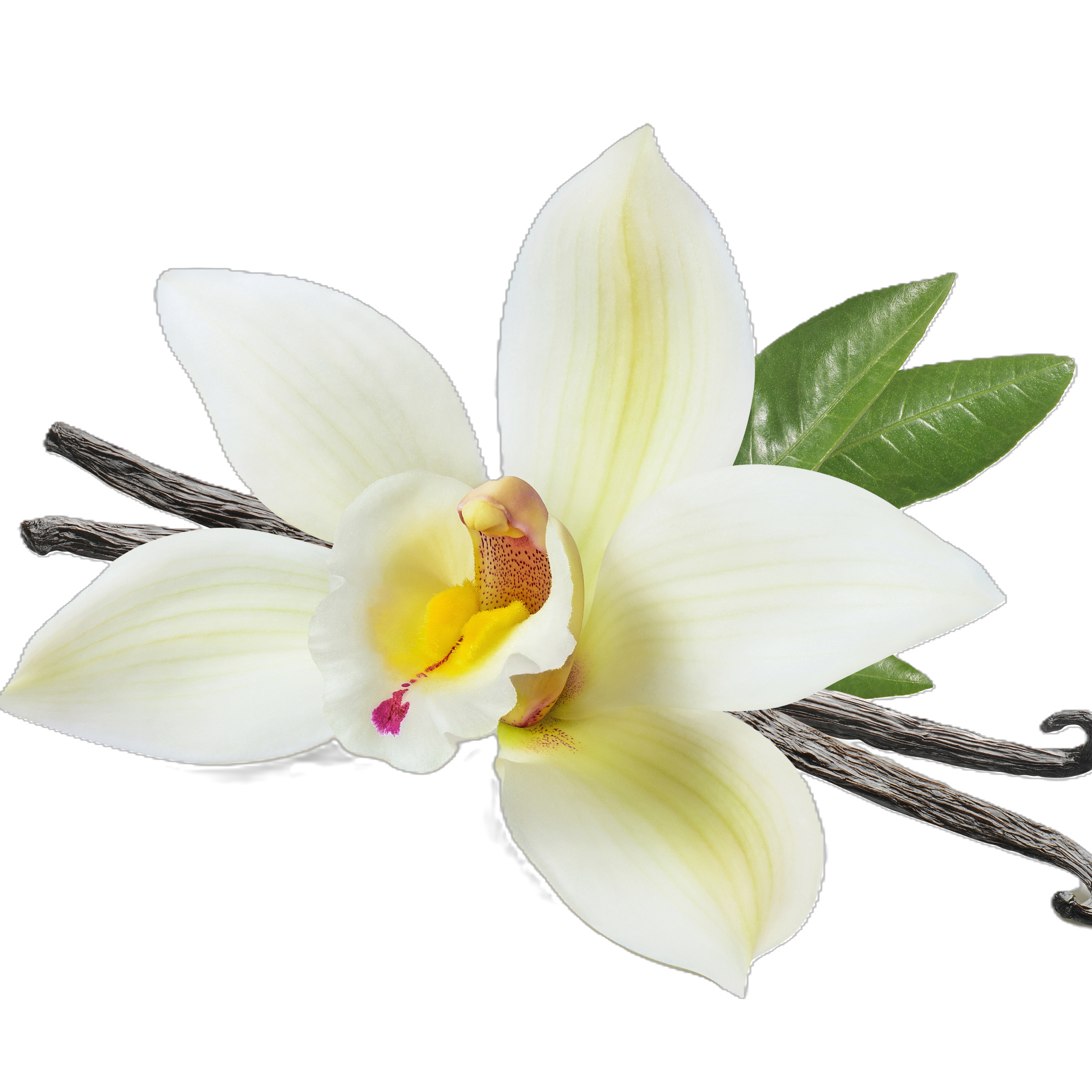 VANILLA ALMOND MILK AMBER Sprchový gel