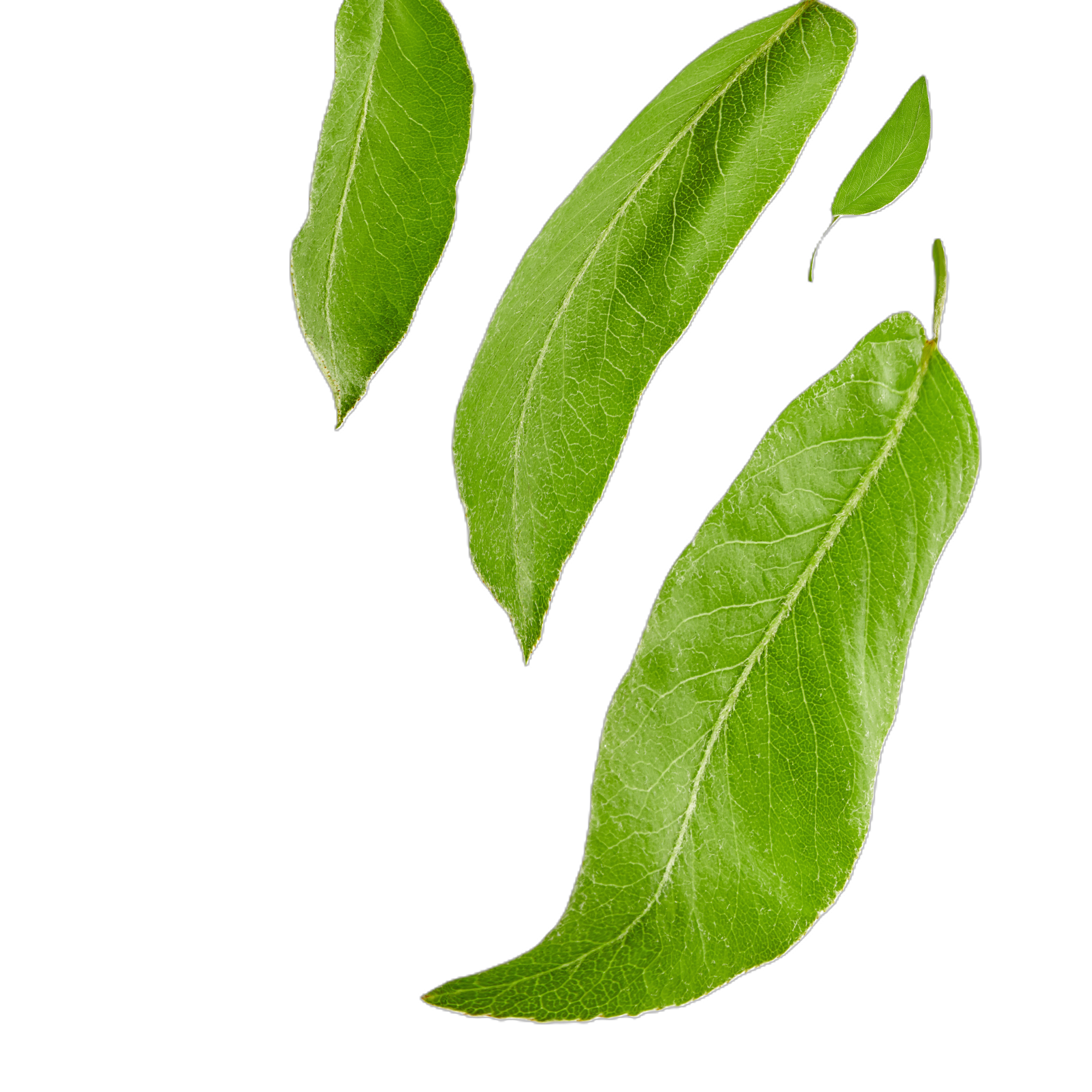 GREEN TEA Maska 3v1