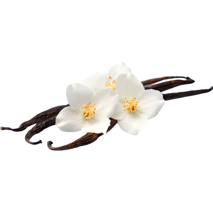 PLUM TOBACCO BLOSSOM TONKA BEAN Parfém a sprchový gel
