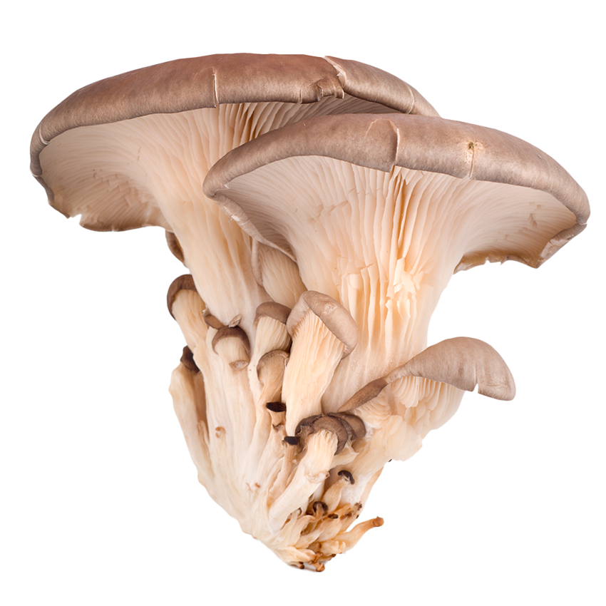 HAIR BOOSTER 2.0 Doplněk stravy