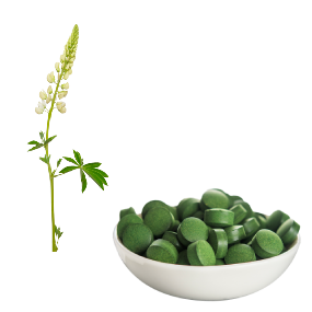 2x GREEN TEA Šampon