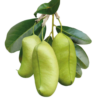 MOOD BOOSTER Doplněk stravy