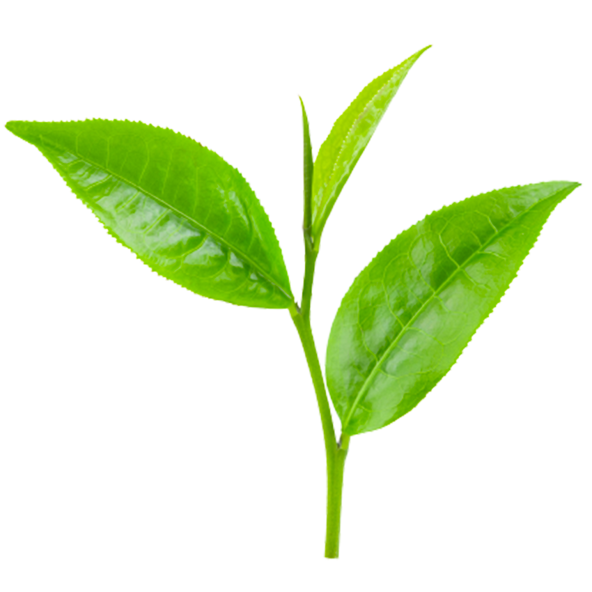 DEFENCE Jemná čistící pěna