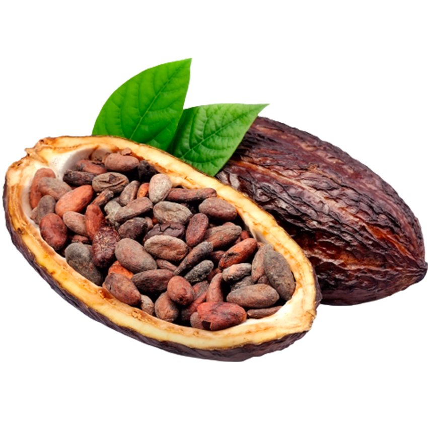 PLUM TOBACCO BLOSSOM TONKA BEAN Parfém