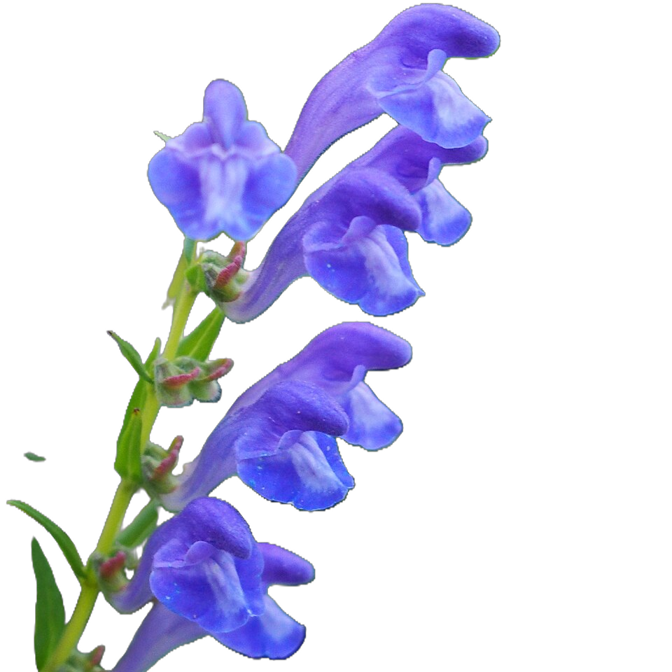 MOOD BOOSTER Doplněk stravy