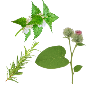 BONFIRE Oplachový kondicionér