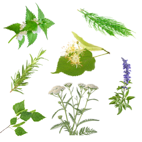 BONFIRE Bezoplachový kondicionér