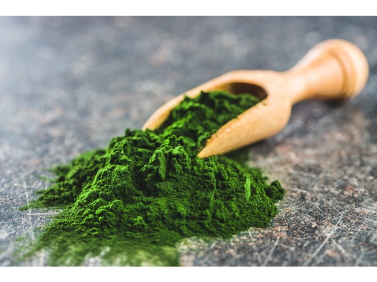 Chlorella prášek 100 g BIO