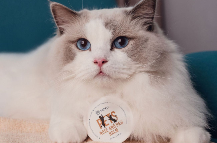 Balzám na čenich a tlapky pro psy a kočky | 50 ml