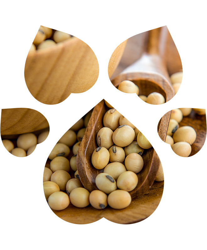 Čistič očního okolí pro psy a kočky | 100 ml