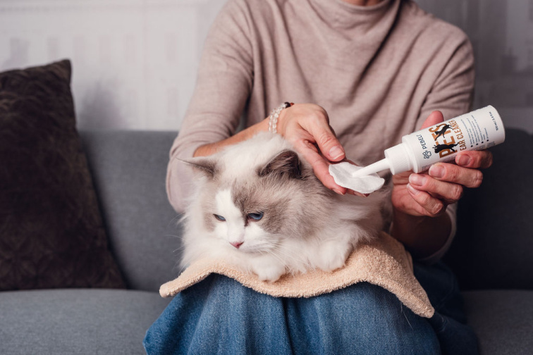 Čistič uší pro psy a kočky | 100 ml