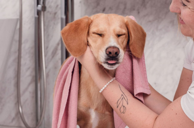 Šampon pro psy – šetrný | 250 ml