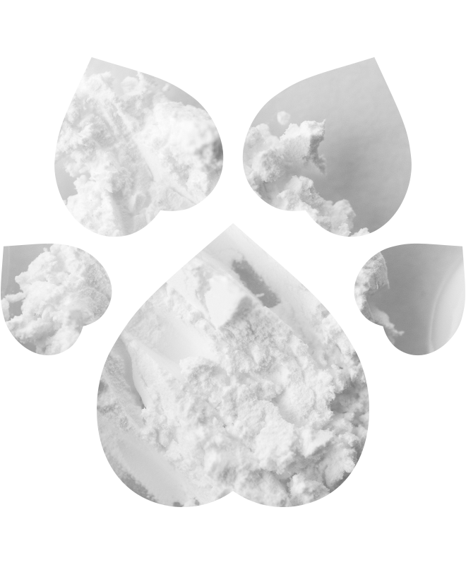 Zubní pasta pro psy a kočky | 50 ml