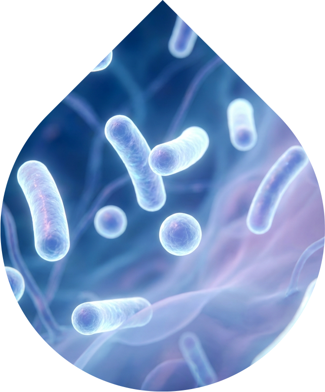 Pleťový krém ATOPIC 50 ml