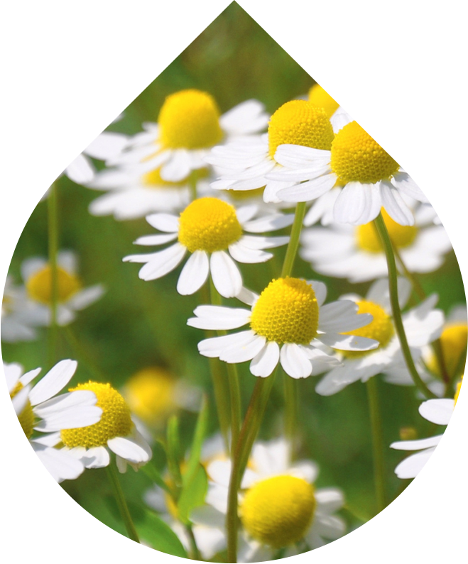 Náhradní náplň Sérum na akné na obličeji 30 ml + 5 ml GRATIS