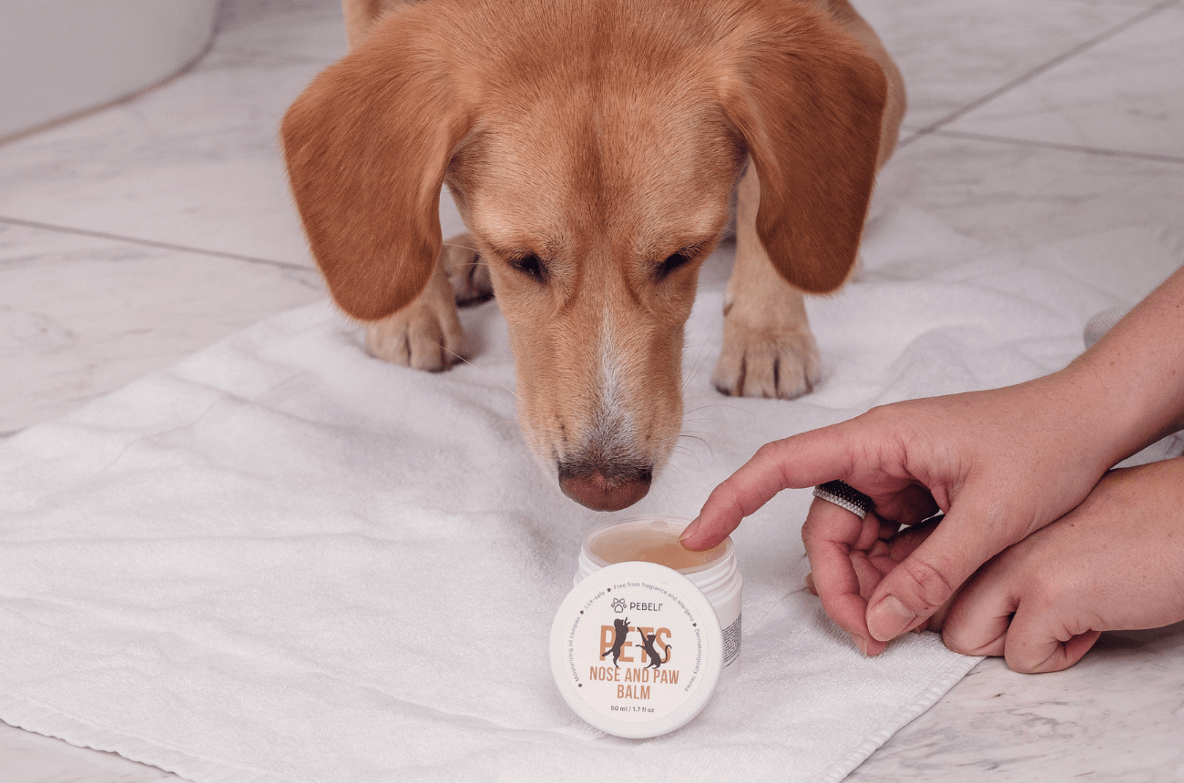 Balzám na čenich a tlapky pro psy a kočky PEBELI