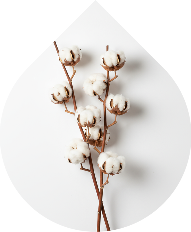 Intimní pěna pro ženy LOBEY® s aloe vera