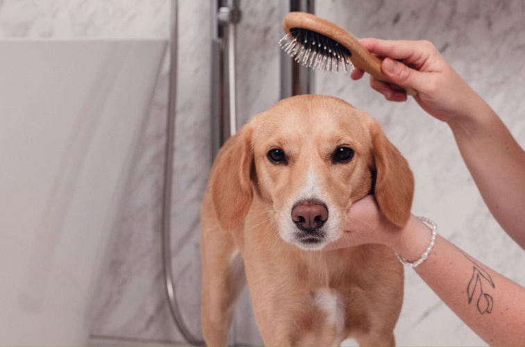 Bezoplachový kondicionér pro psy a kočky | 200 ml