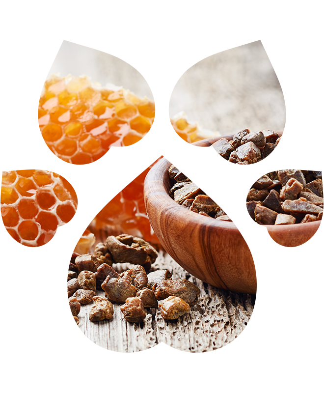 Čistič uší pro psy a kočky | 100 ml