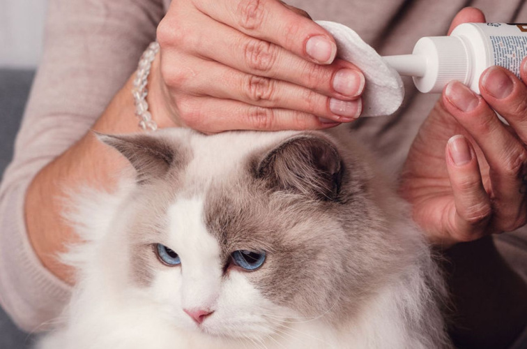 Čistič očního okolí pro psy a kočky | 100 ml