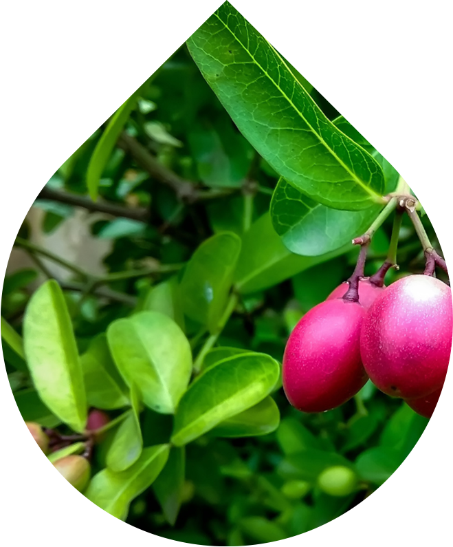 Hyaluronové sérum Intense 30 ml REFORMULACE