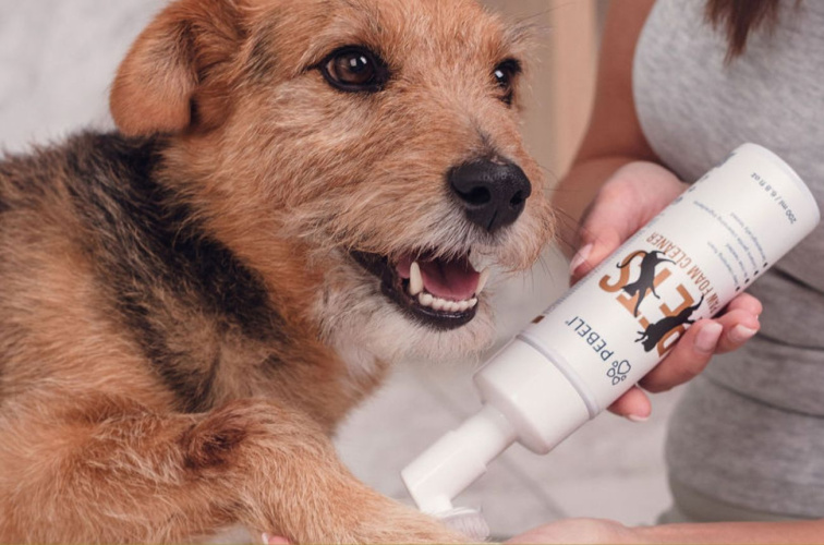 Pěnový čistič tlapek pro psy a kočky | 200 ml