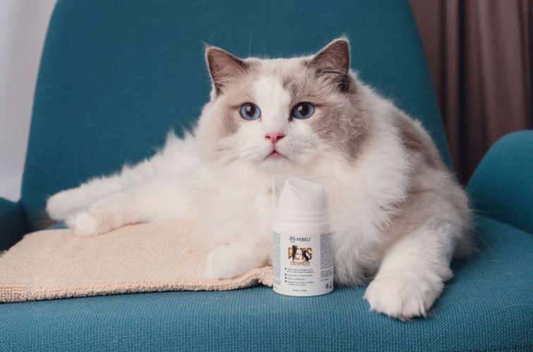 Zubní pasta pro psy a kočky | 50 ml