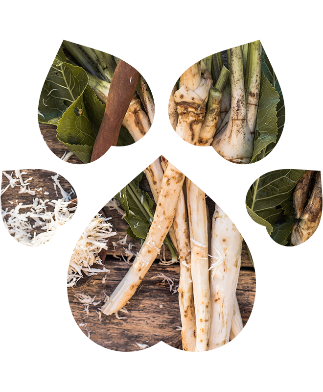 Čistič uší pro psy a kočky | 100 ml