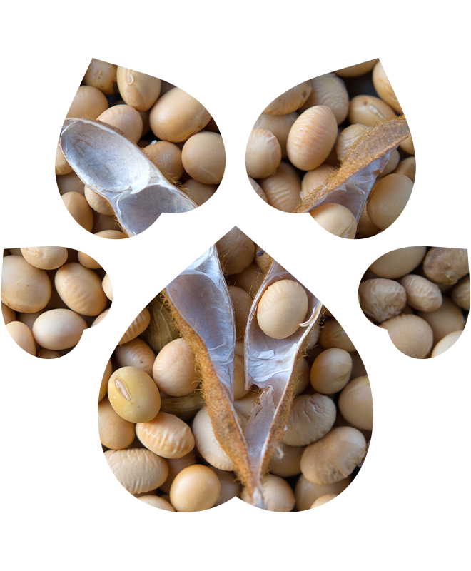 Bezoplachový kondicionér pro psy a kočky | 200 ml