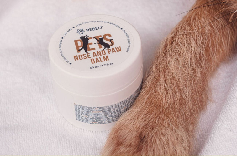 Balzám na čenich a tlapky pro psy a kočky | 50 ml