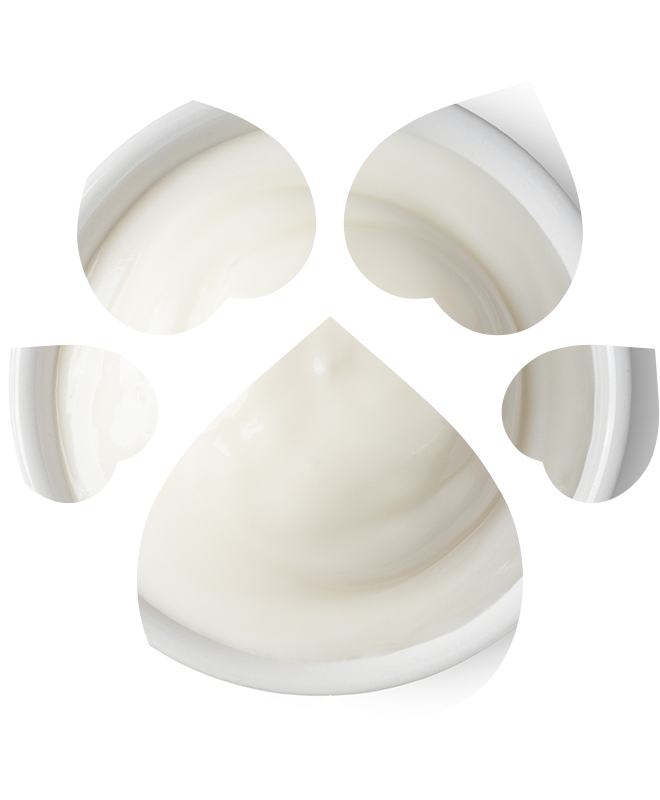 Šampon pro štěňata – extra šetrný | 250 ml