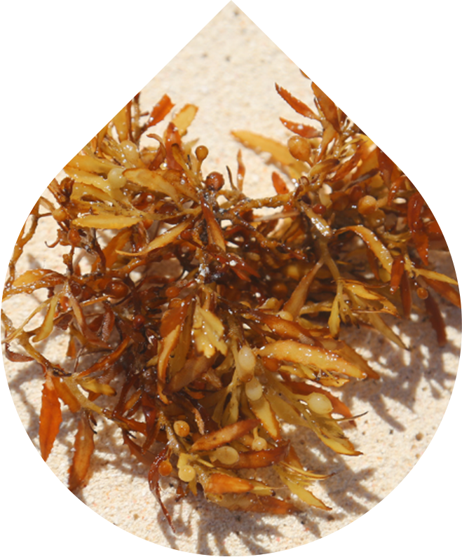 Náhradní náplň Sérum na akné na obličeji 30 ml + 5 ml GRATIS