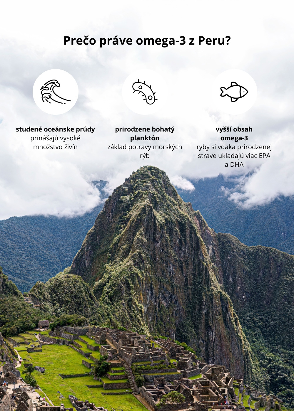 VENIRA omega 3