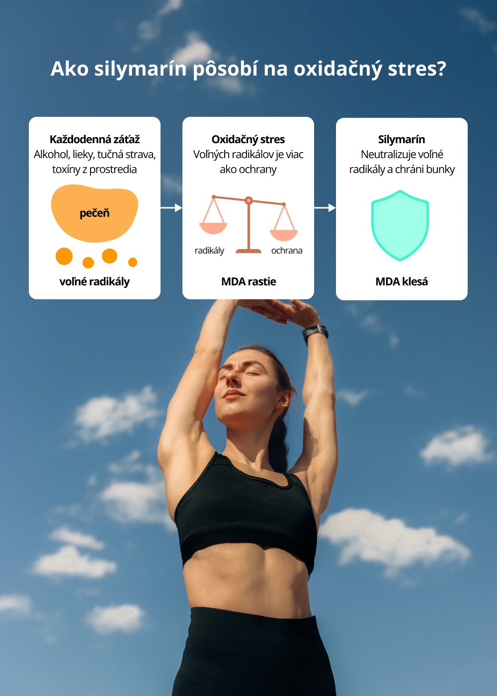 VENIRA pestrec mariánsky