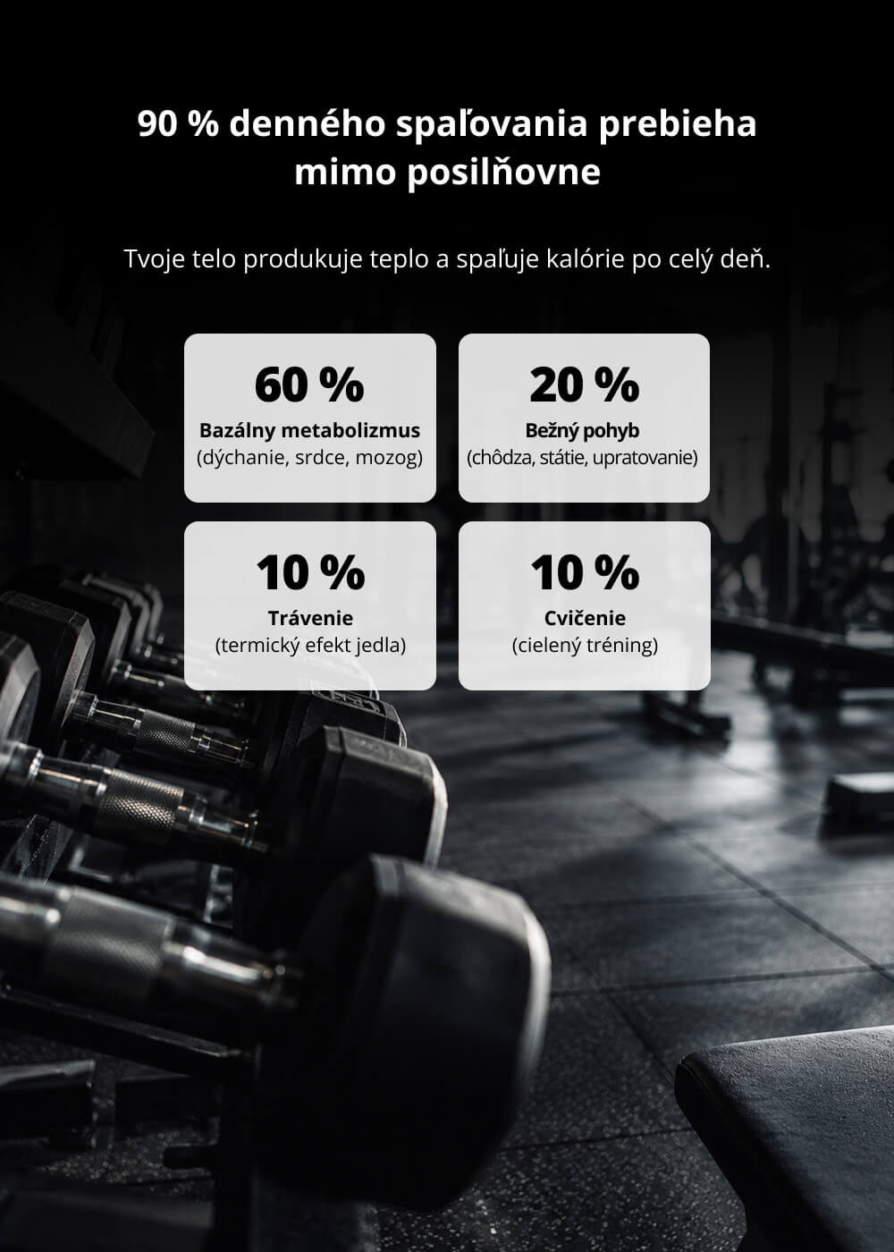 VENIRA fat burner complex for men