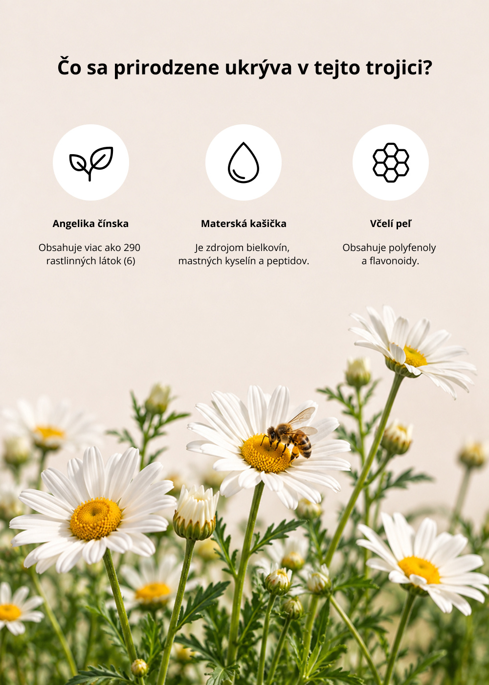 VENIRA menopauza