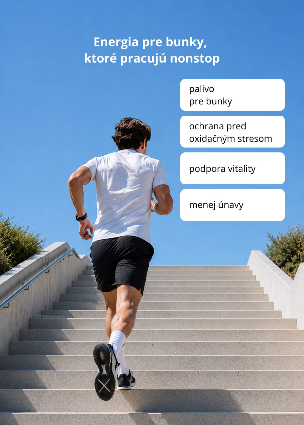 VENIRA fertility booster for men