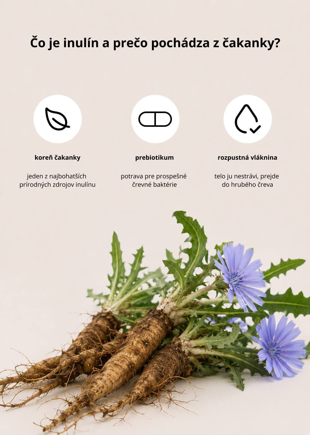 VENIRA longevity greens - vzorka