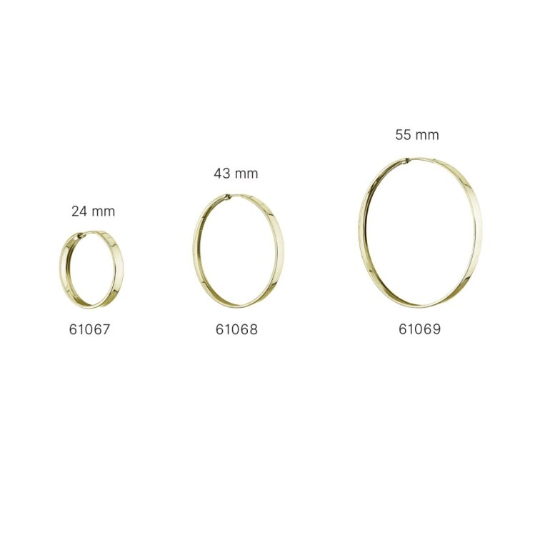 Stříbrné pozlacené náušnice kruhy 61067