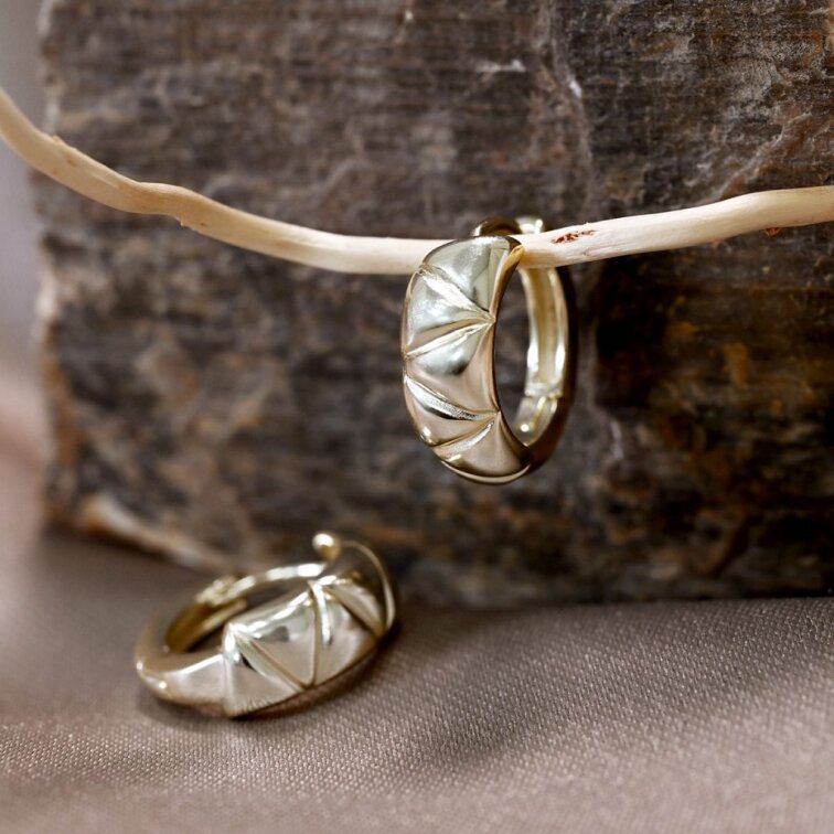 Pozlacené náušnice kruhy 61157