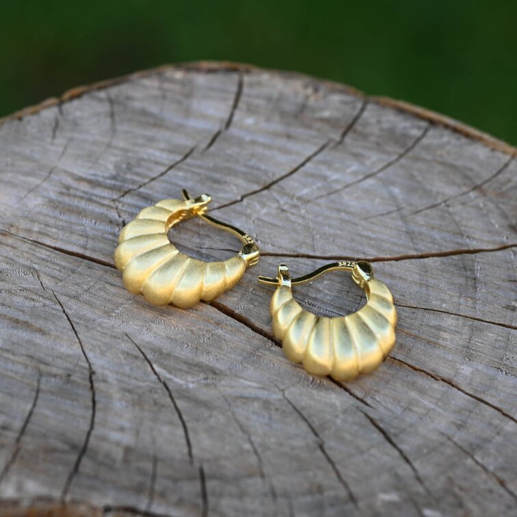 Pozlacené stříbrné náušnice tvarované kruhy 61107