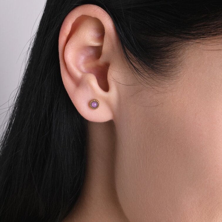 Náušnice oceľové s ametystom 41016.3